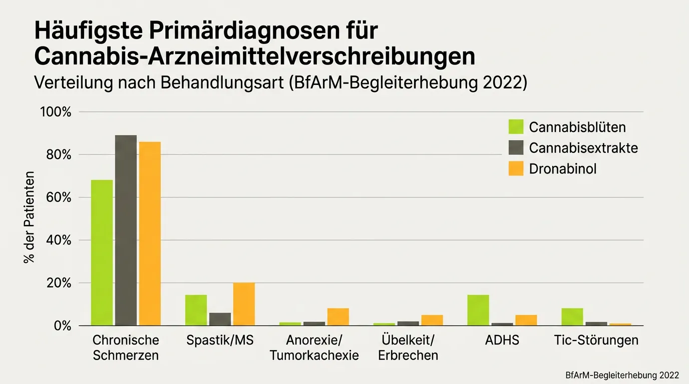 Balkendiagramm der häufigsten Diagnosen bei Cannabisarzneimittel-Verordnungen in Deutschland, mit Schmerz als häufigster Indikation
